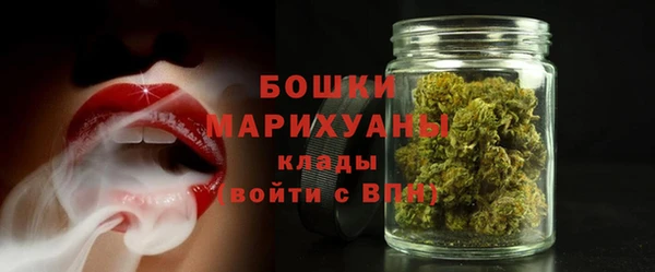ПСИЛОЦИБИНОВЫЕ ГРИБЫ Арсеньев