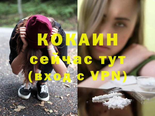 ешки Аркадак