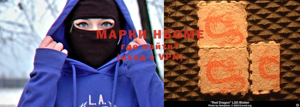 ПСИЛОЦИБИНОВЫЕ ГРИБЫ Арсеньев