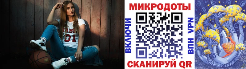Купить  Звенигород  Галлюциногенные грибы Psilocybine cubensis 
